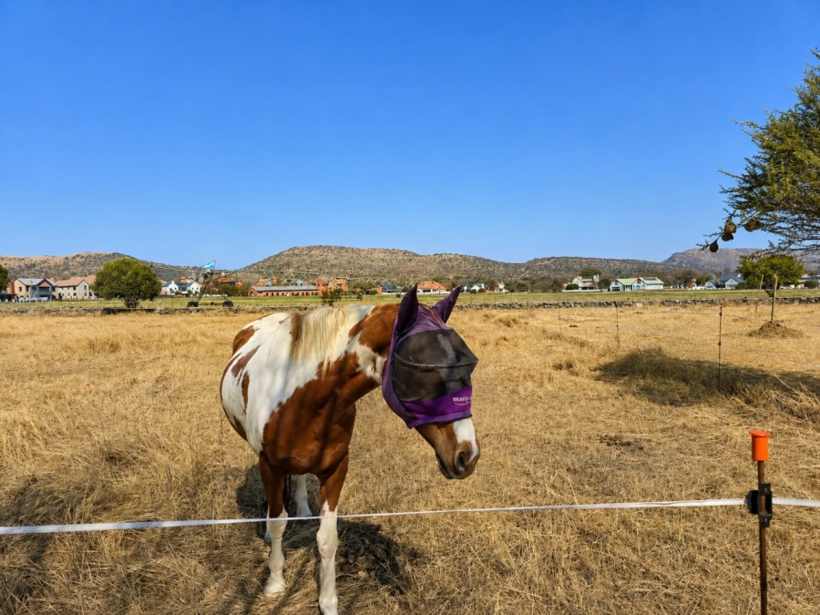 3 Bedroom Property for Sale in Landsmeer Residential Estate North West